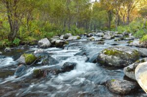 river, flow, water-89180.jpg