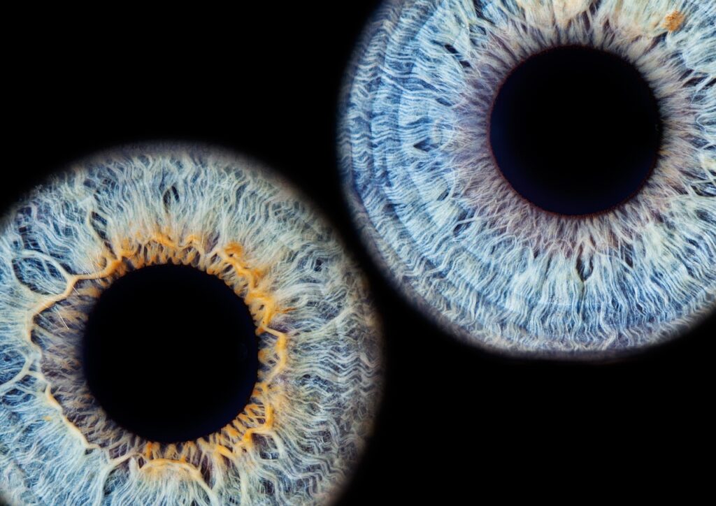 iris, eyes iris, eye-1052871.jpg