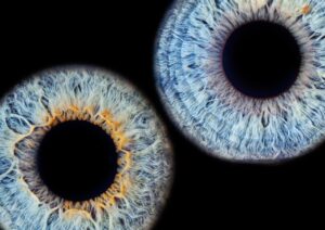 iris, eyes iris, eye-1052871.jpg
